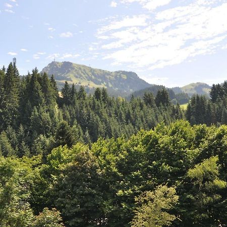 Appartement Kitzbuehel Mit Dachterrasse Ngoại thất bức ảnh