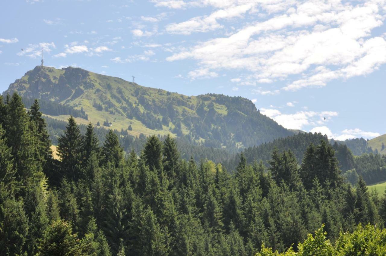 Appartement Kitzbuehel Mit Dachterrasse Ngoại thất bức ảnh